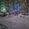 IMG-20210128-WA0005
